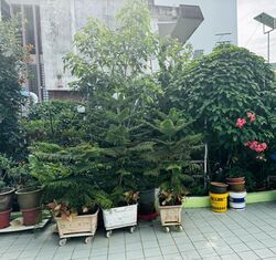 Telok Kurau Road (D15), Semi-Detached #566762671